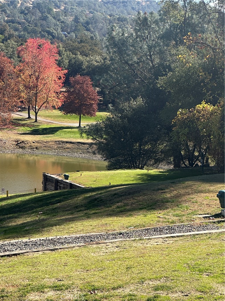 28923 Highway 41, Coarsegold, CA 93614