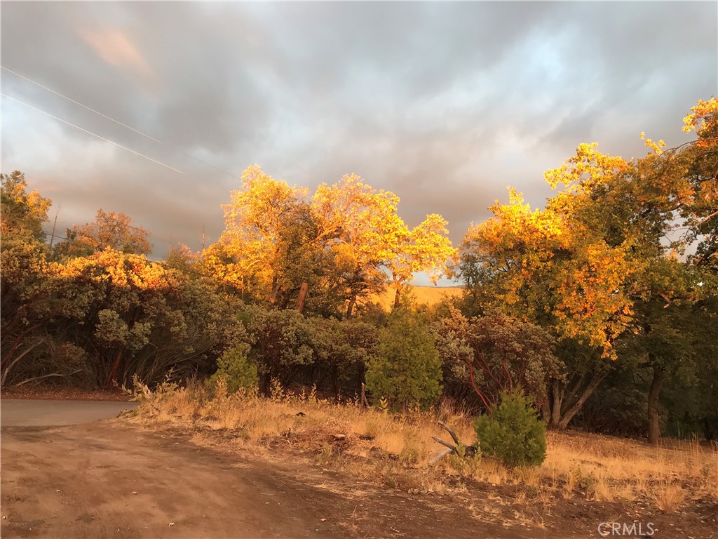 39468 Summit Dr, Oakhurst, CA 93644