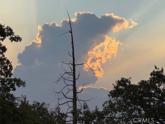 39468 Summit Dr, Oakhurst, CA 93644