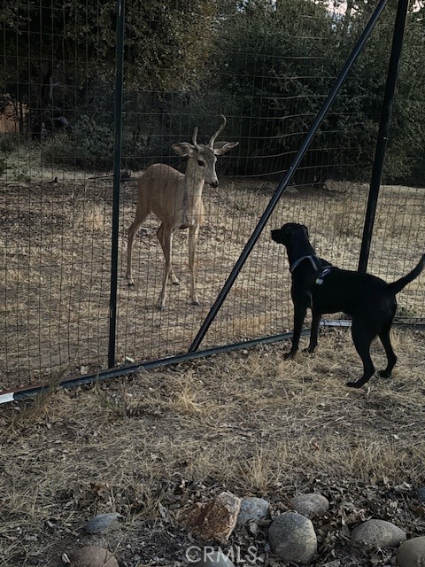 39468 Summit Dr, Oakhurst, CA 93644