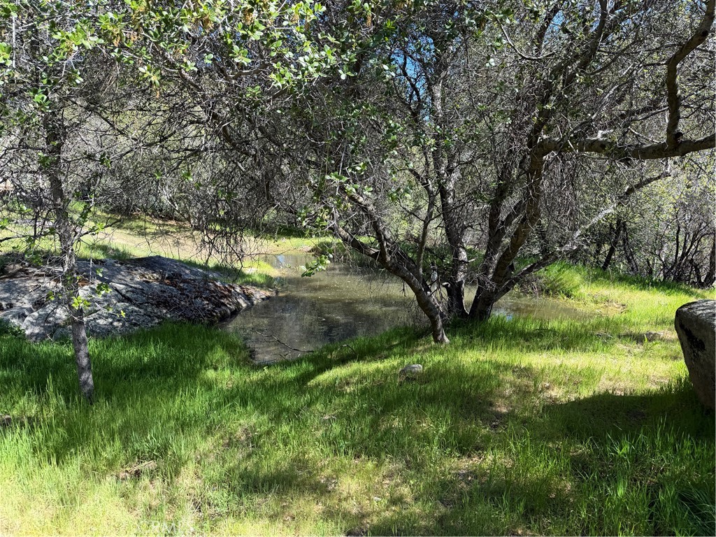 33478 Spreading Oak Ln, Auberry, CA 93602