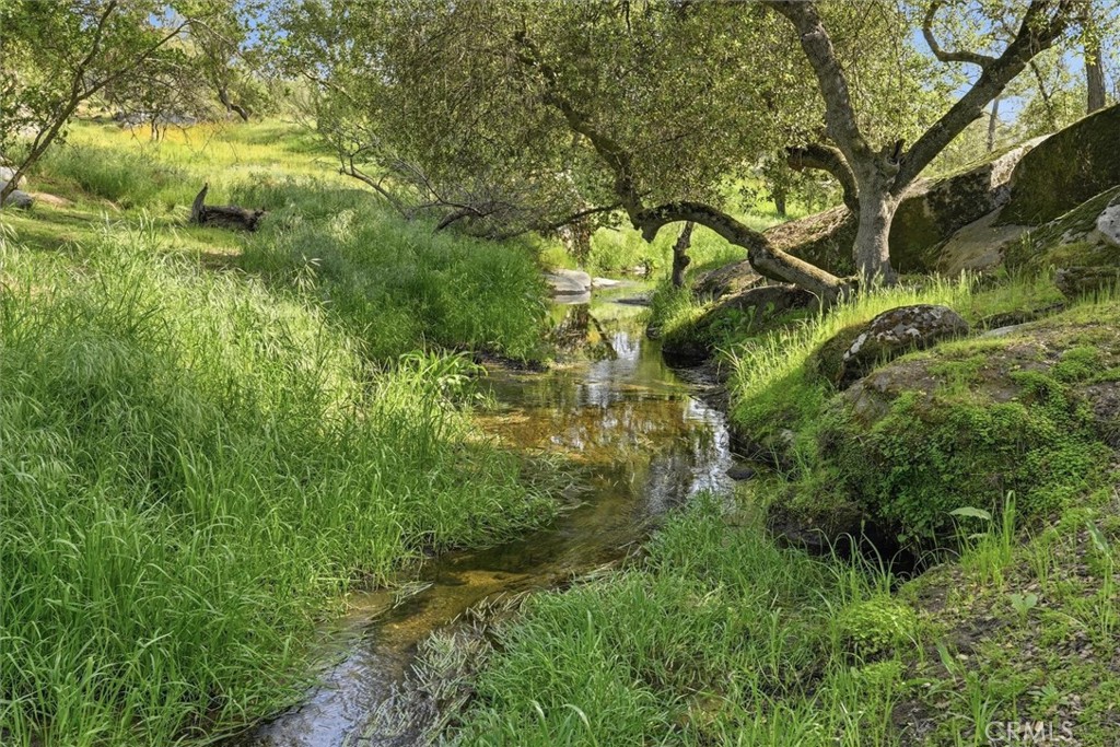 28911 Gray Squirrel, Coarsegold, CA 93614