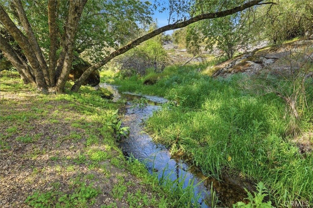 28911 Gray Squirrel, Coarsegold, CA 93614