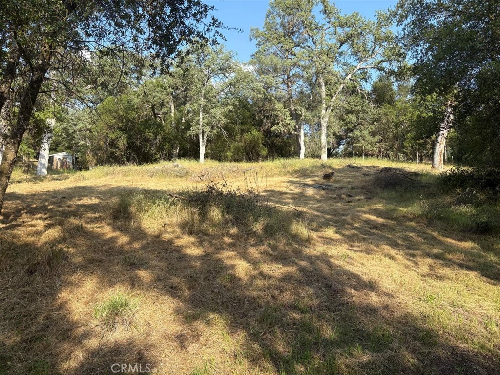 0 Chickasaw Rd, Coarsegold, CA 93614
