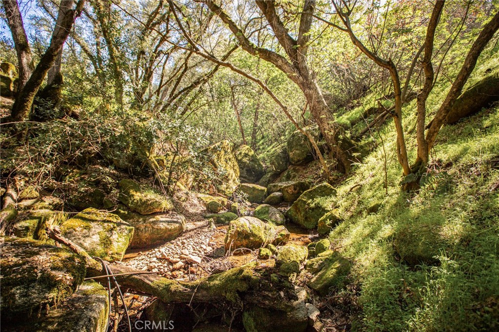 44981 Todd Eymann Rd, Miramonte, CA 93641