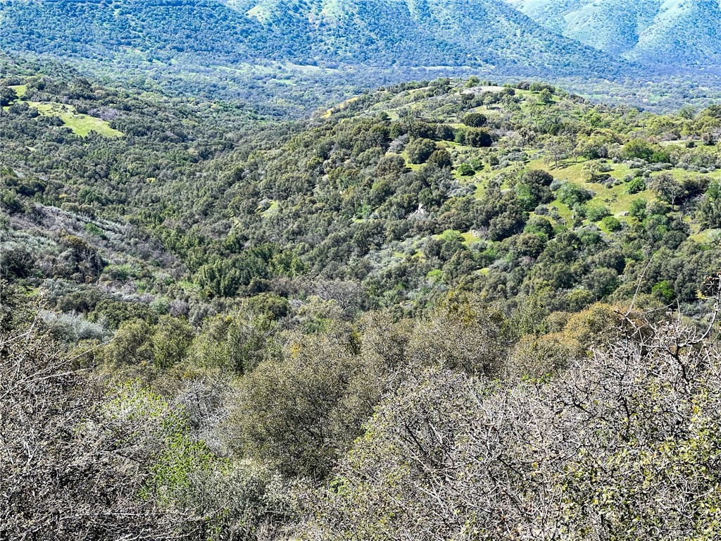 44981 Todd Eymann Rd, Miramonte, CA 93641