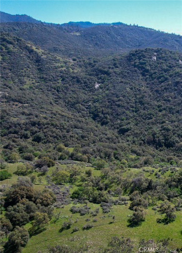 44981 Todd Eymann Rd, Miramonte, CA 93641