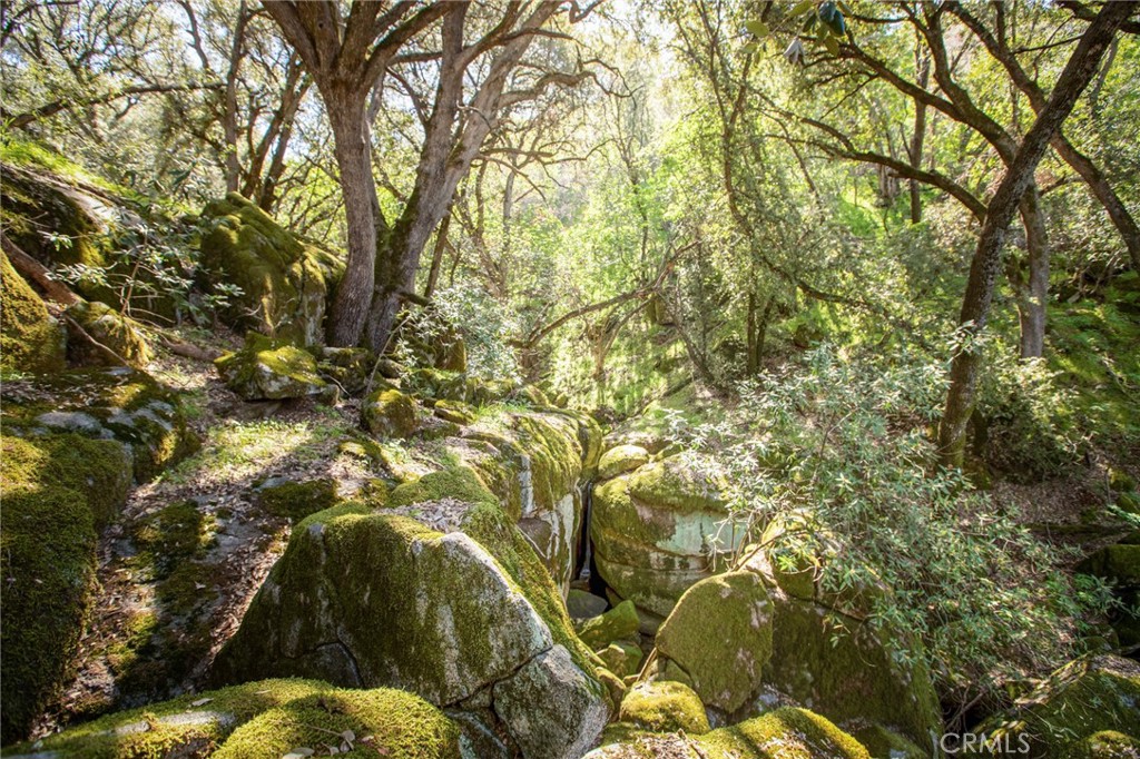 44981 Todd Eymann Rd, Miramonte, CA 93641