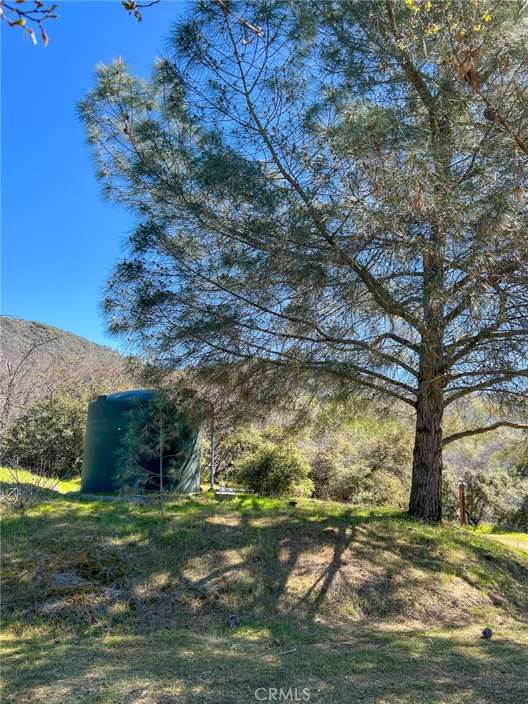 44981 Todd Eymann Rd, Miramonte, CA 93641