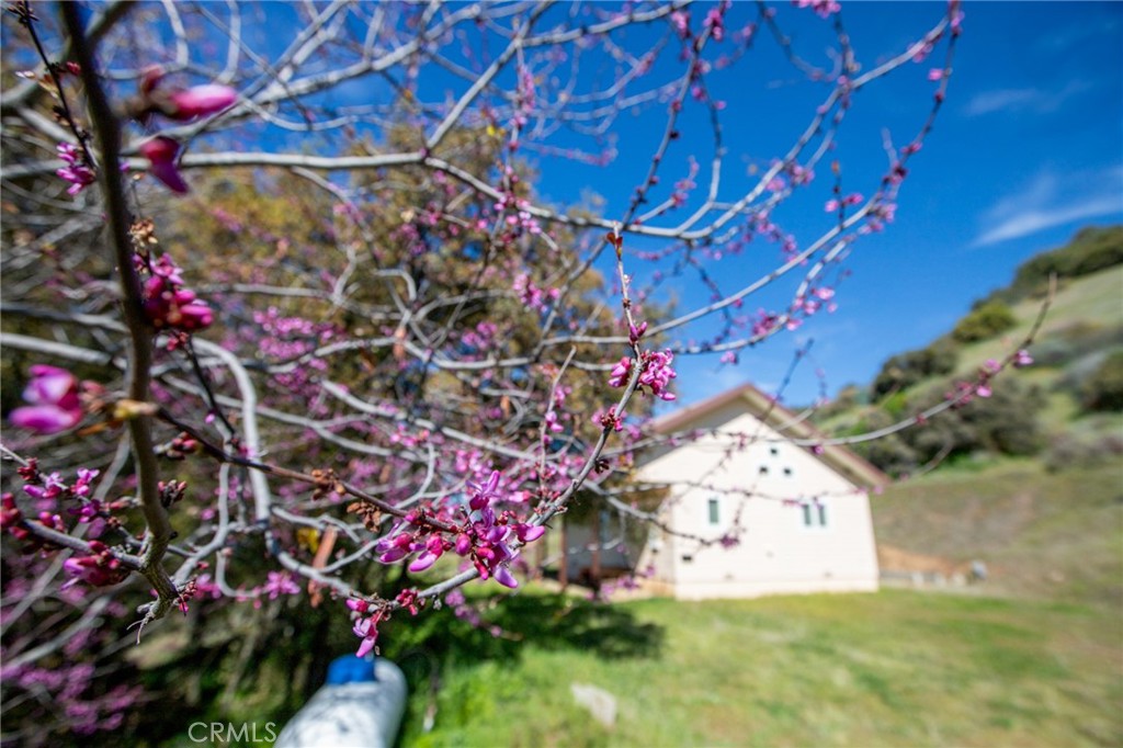 44981 Todd Eymann Rd, Miramonte, CA 93641