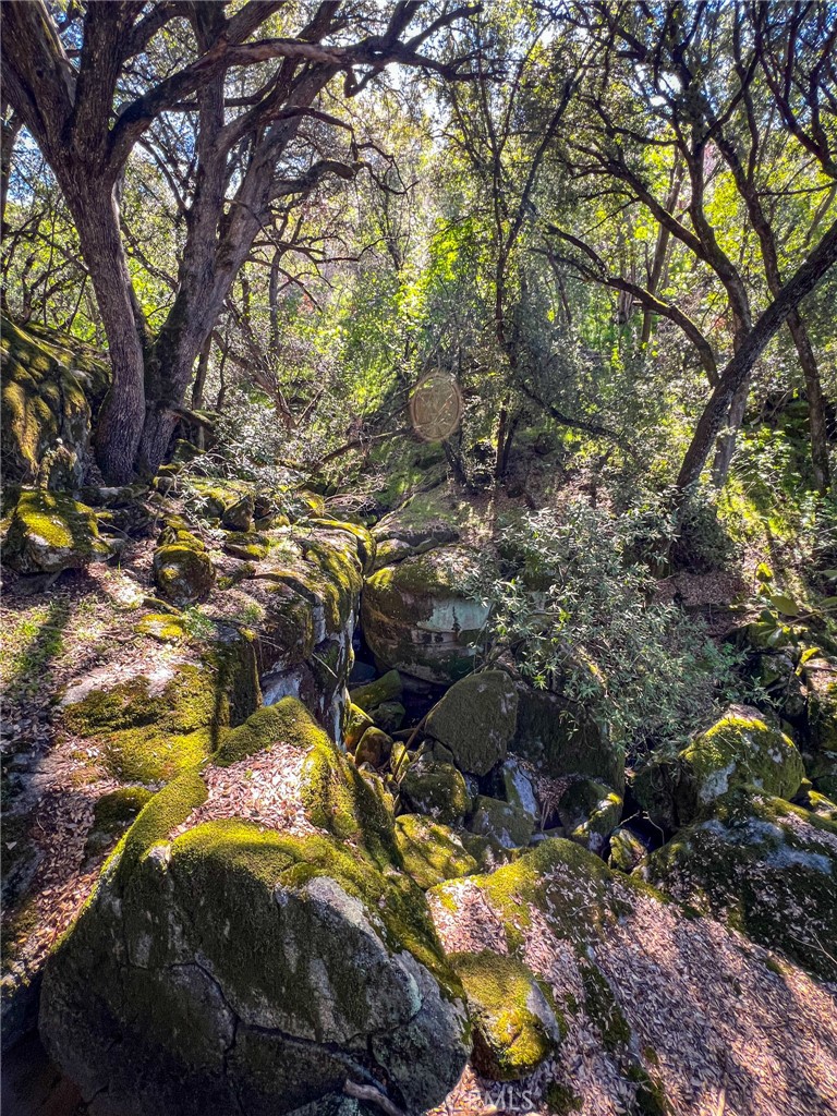 44981 Todd Eymann Rd, Miramonte, CA 93641