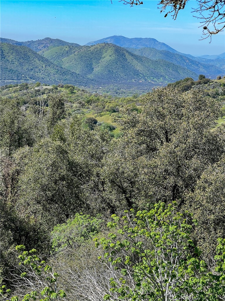 44981 Todd Eymann Rd, Miramonte, CA 93641