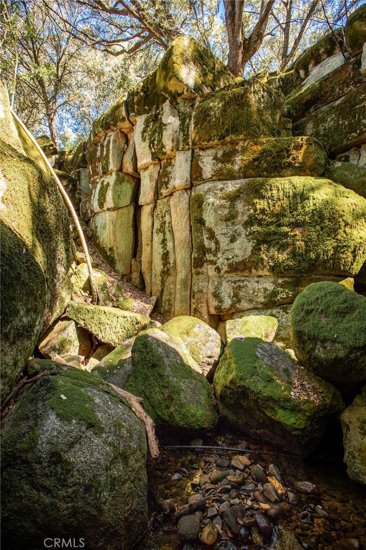 44981 Todd Eymann Rd, Miramonte, CA 93641