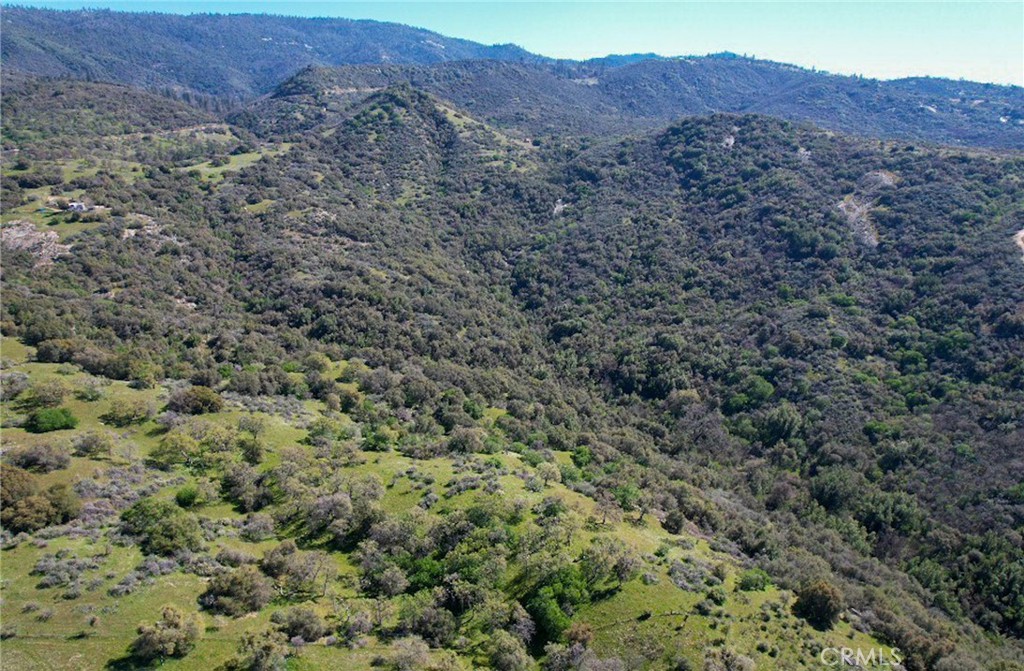 44981 Todd Eymann Rd, Miramonte, CA 93641