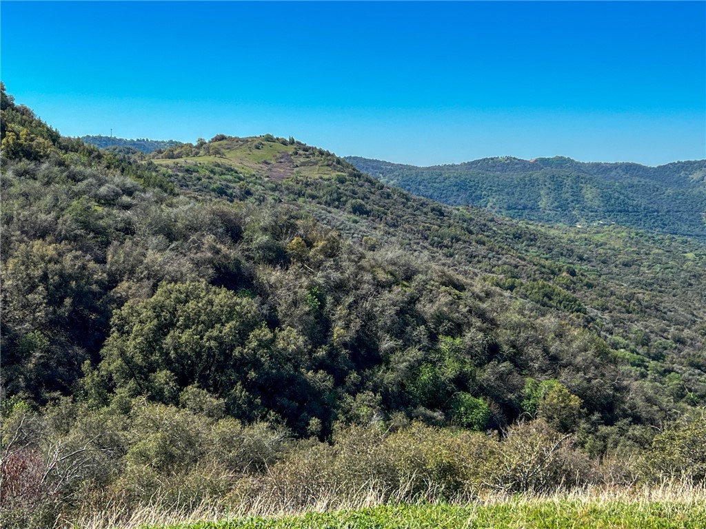 44981 Todd Eymann Rd, Miramonte, CA 93641