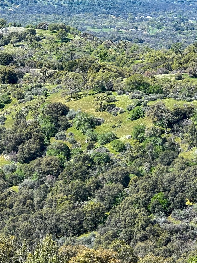 44981 Todd Eymann Rd, Miramonte, CA 93641