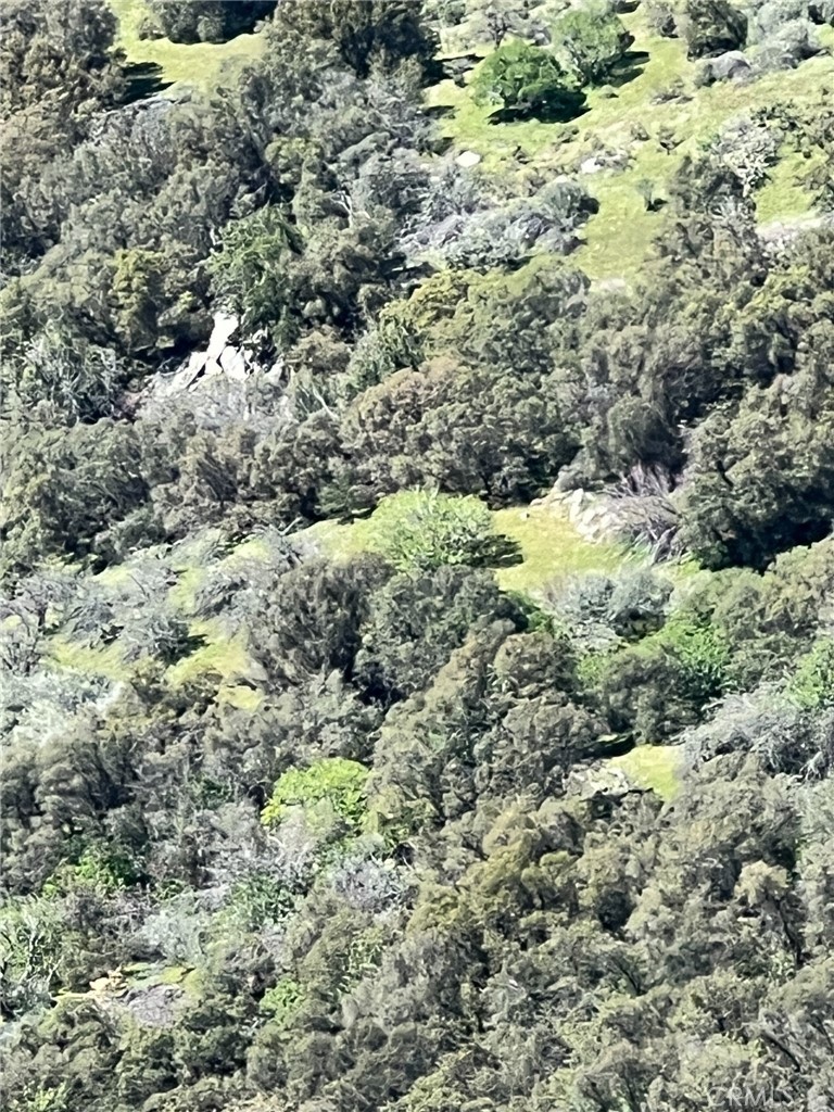 44981 Todd Eymann Rd, Miramonte, CA 93641