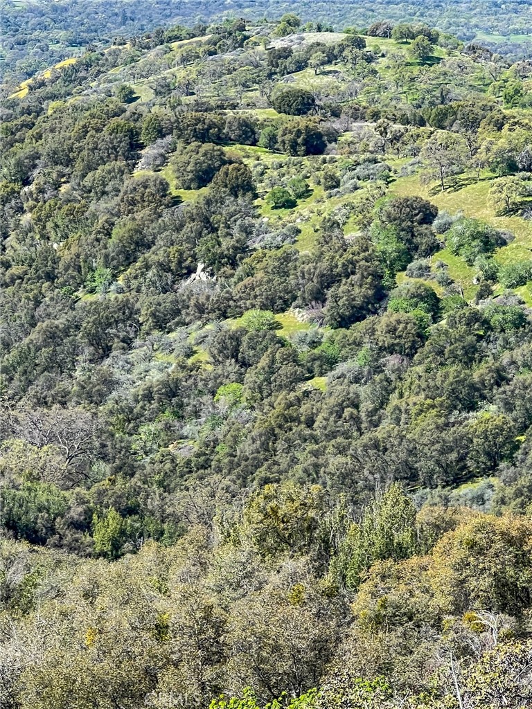 44981 Todd Eymann Rd, Miramonte, CA 93641