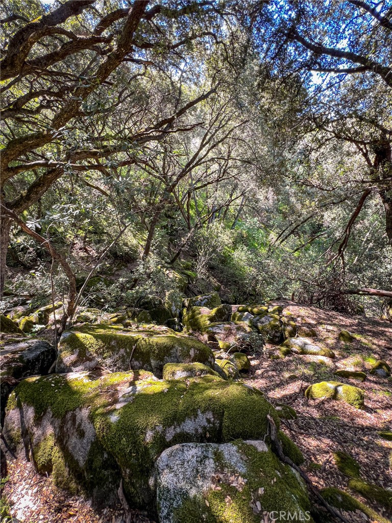 44981 Todd Eymann Rd, Miramonte, CA 93641