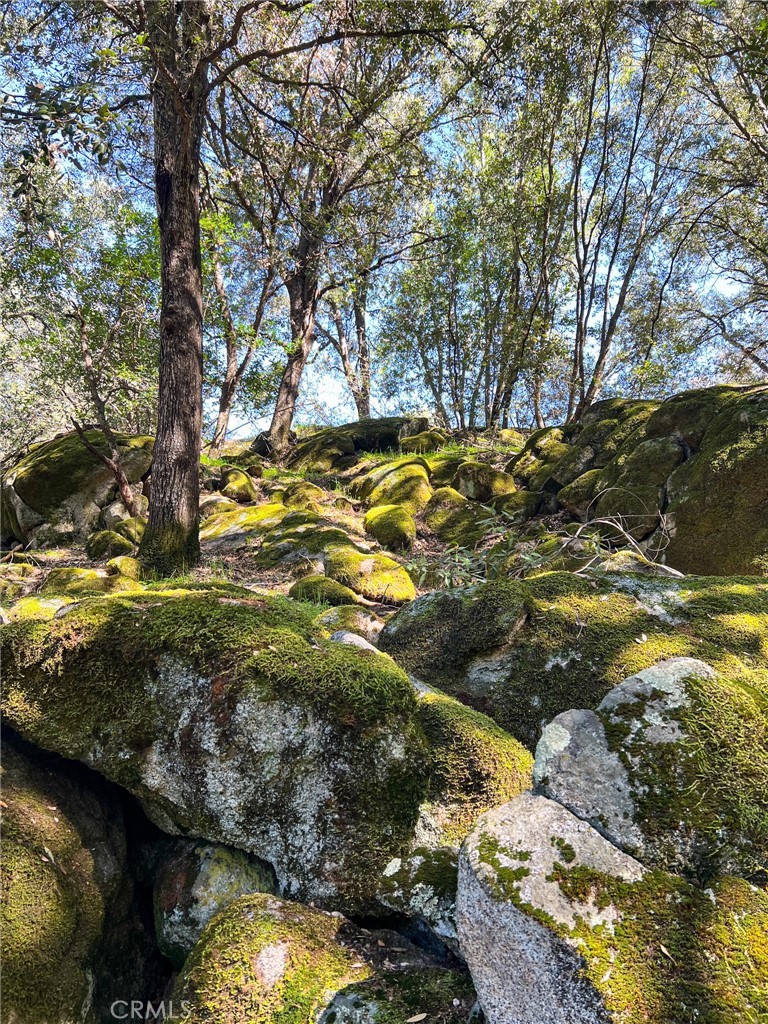 44981 Todd Eymann Rd, Miramonte, CA 93641