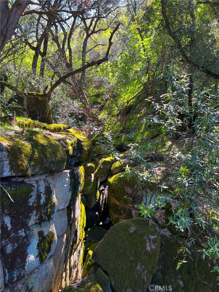 44981 Todd Eymann Rd, Miramonte, CA 93641