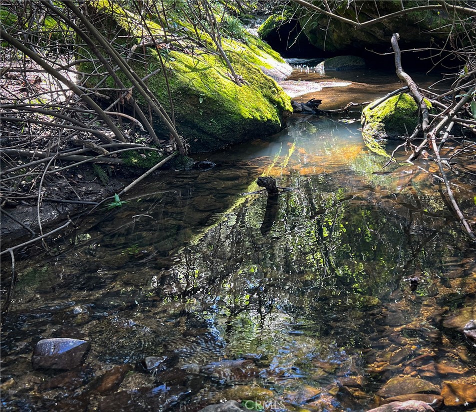 44981 Todd Eymann Rd, Miramonte, CA 93641