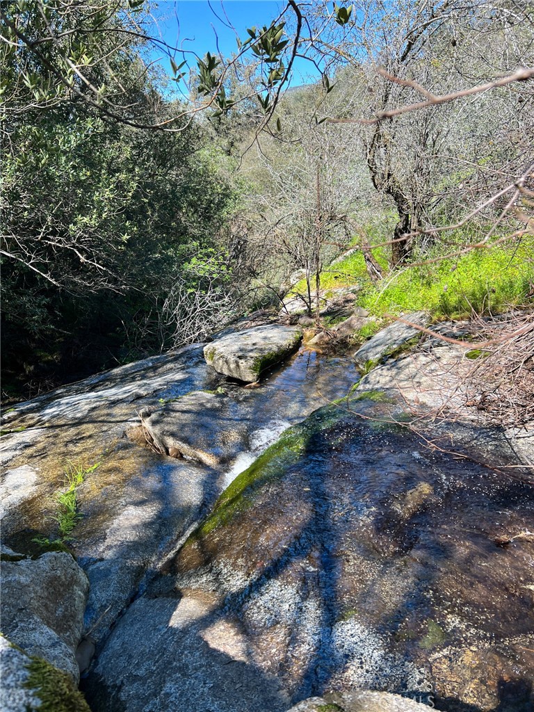 44981 Todd Eymann Rd, Miramonte, CA 93641