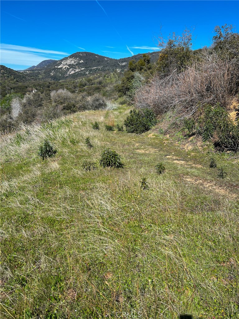 44981 Todd Eymann Rd, Miramonte, CA 93641