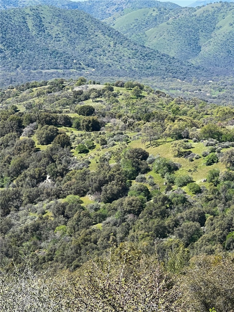 44981 Todd Eymann Rd, Miramonte, CA 93641