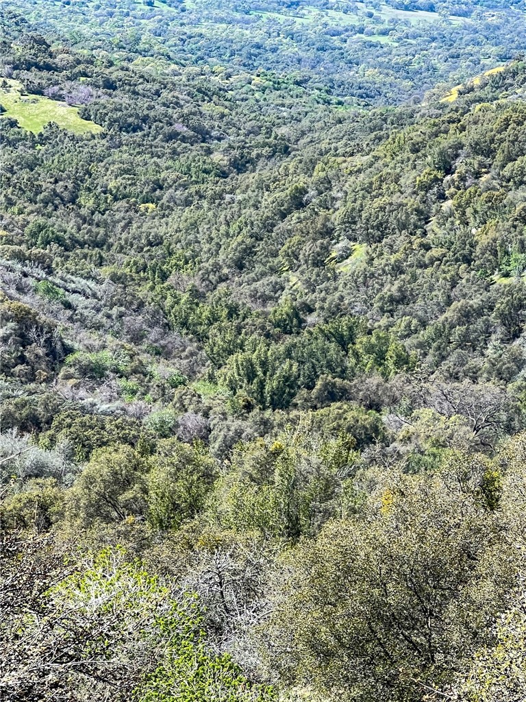 44981 Todd Eymann Rd, Miramonte, CA 93641