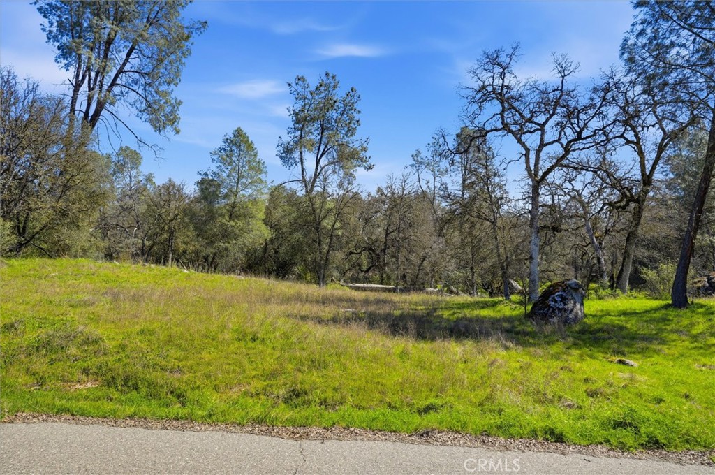 4260 Burl, Mariposa, CA 95338