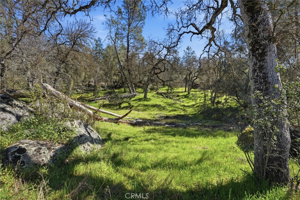 4260 Burl, Mariposa, CA 95338