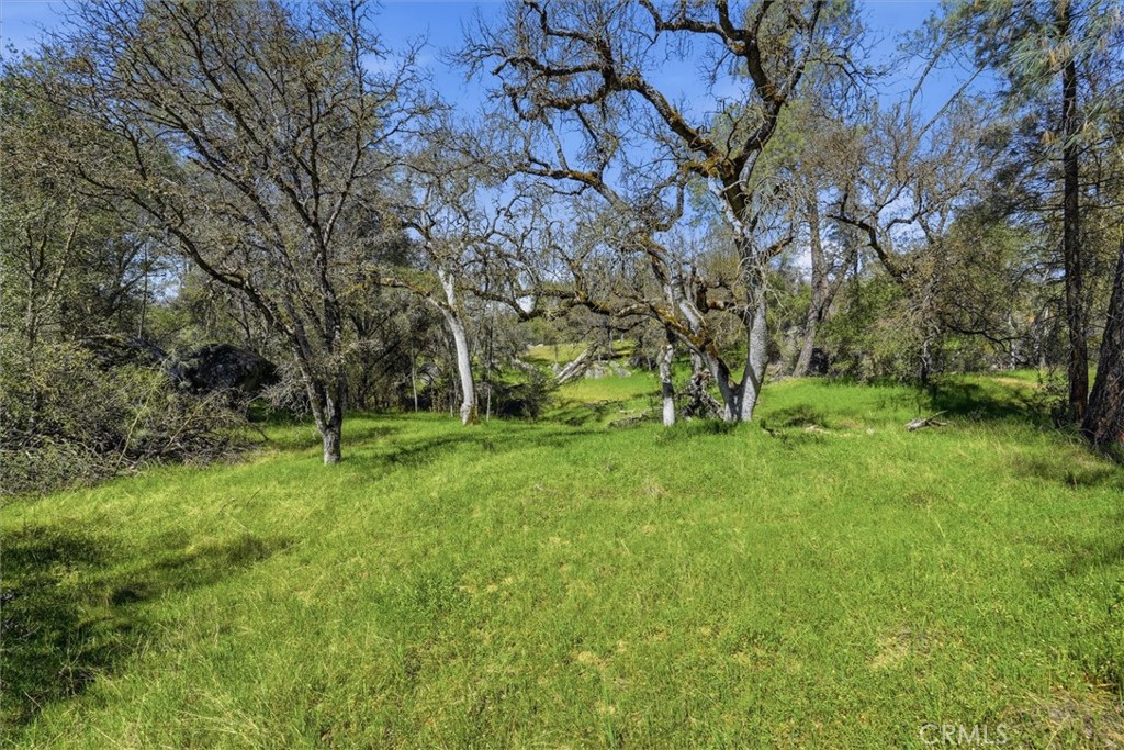 4260 Burl, Mariposa, CA 95338