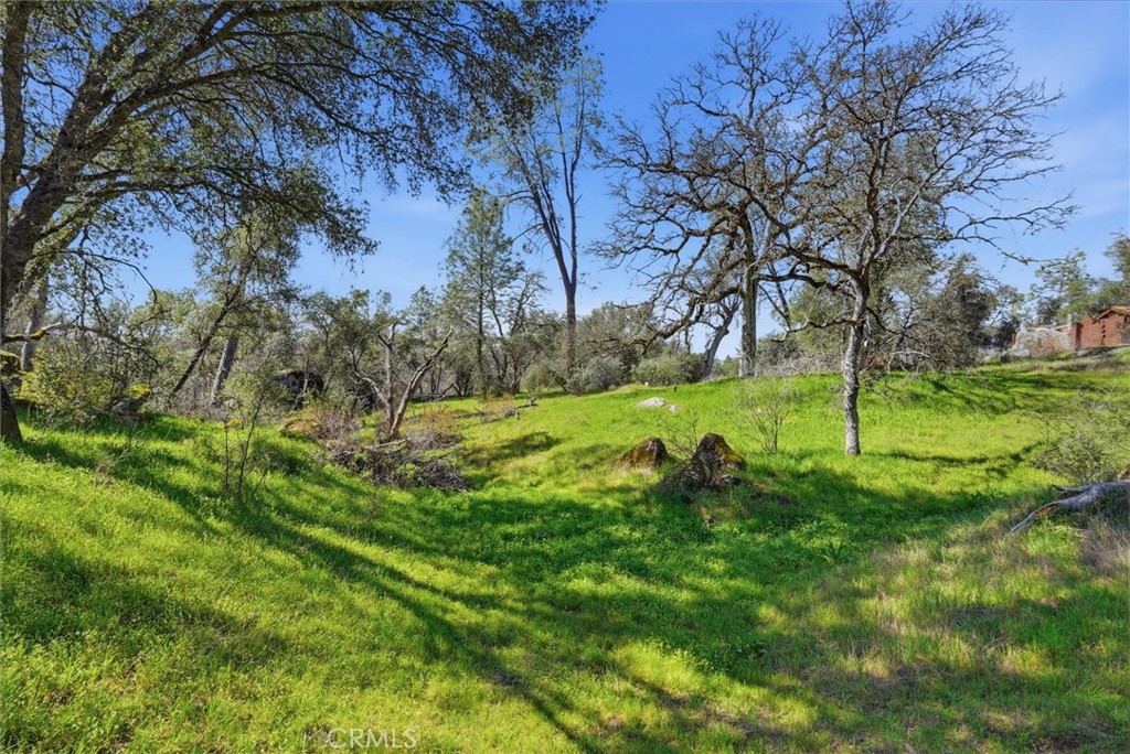 4260 Burl, Mariposa, CA 95338