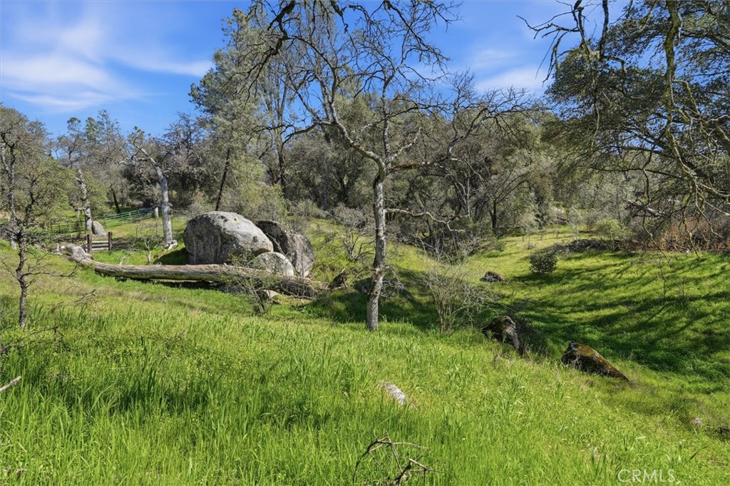 4260 Burl, Mariposa, CA 95338