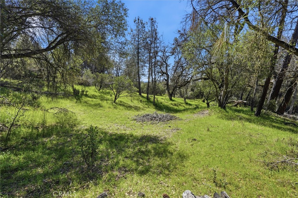 4260 Burl, Mariposa, CA 95338