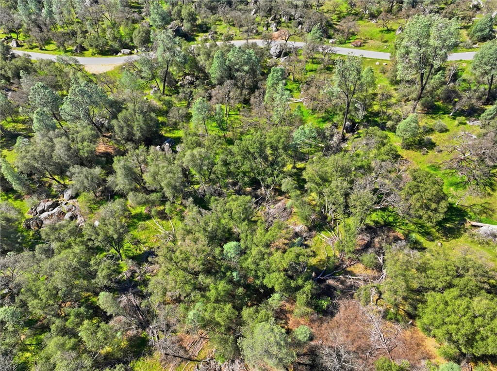 4260 Burl, Mariposa, CA 95338