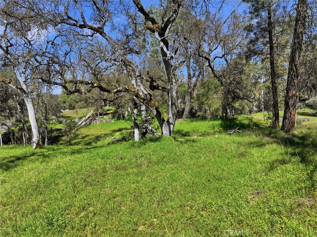 4260 Burl, Mariposa, CA 95338