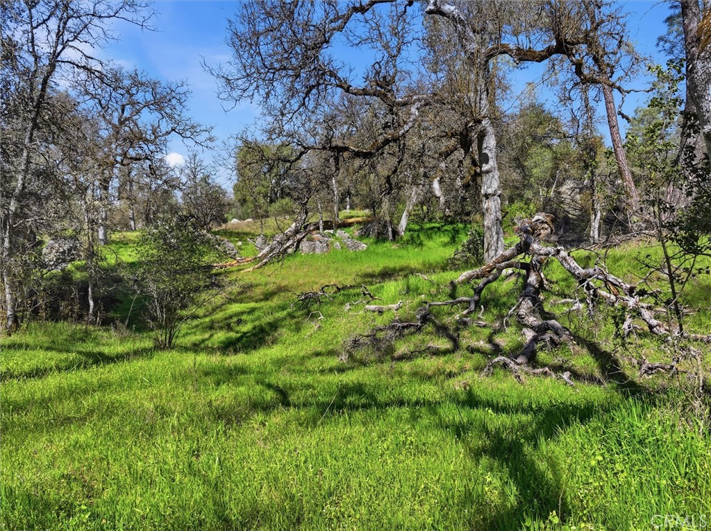 4260 Burl, Mariposa, CA 95338