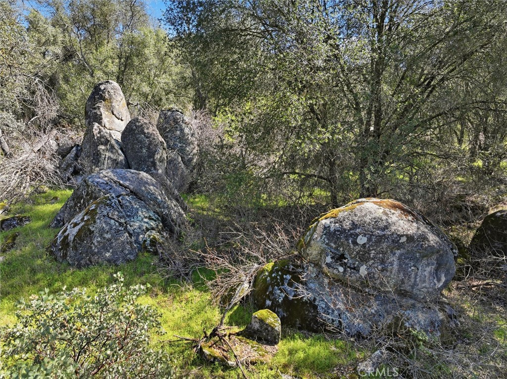 4260 Burl, Mariposa, CA 95338