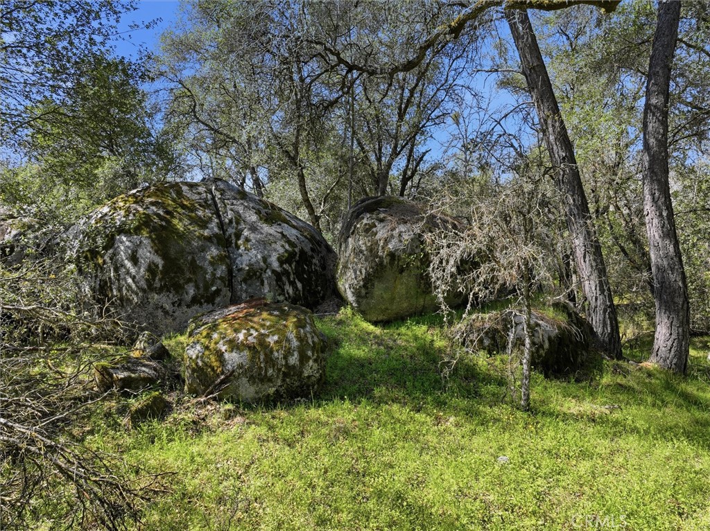 4260 Burl, Mariposa, CA 95338