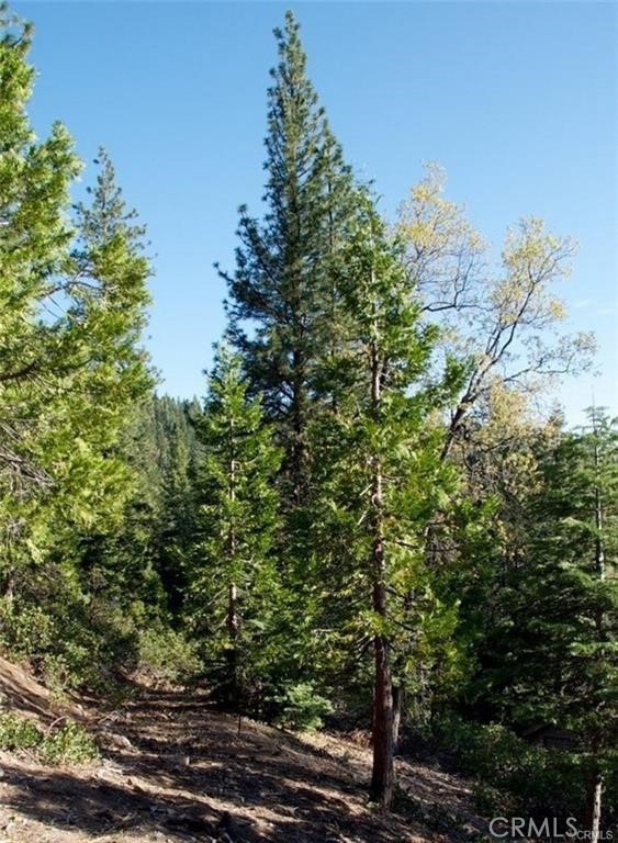 7486 Henness Ridge, Yosemite, CA 95389