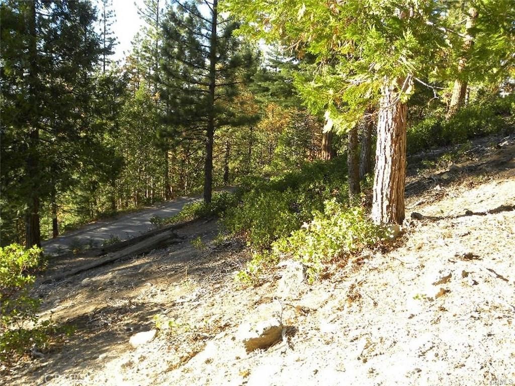 7486 Henness Ridge, Yosemite, CA 95389