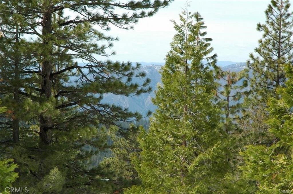 7486 Henness Ridge, Yosemite, CA 95389