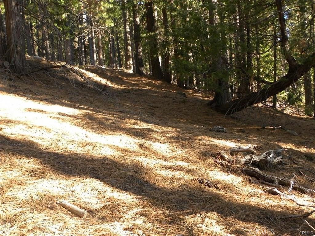 7486 Henness Ridge, Yosemite, CA 95389