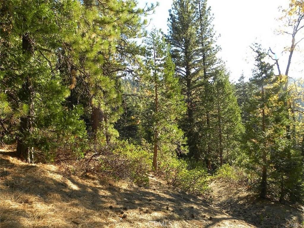 7486 Henness Ridge, Yosemite, CA 95389