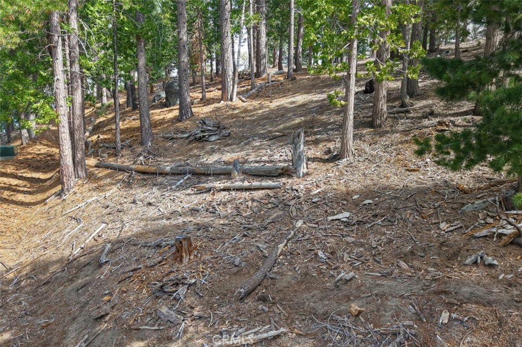 7486 Henness Ridge, Yosemite, CA 95389