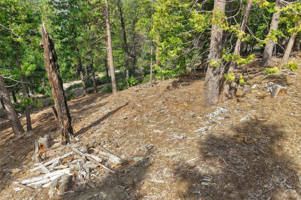 7486 Henness Ridge, Yosemite, CA 95389