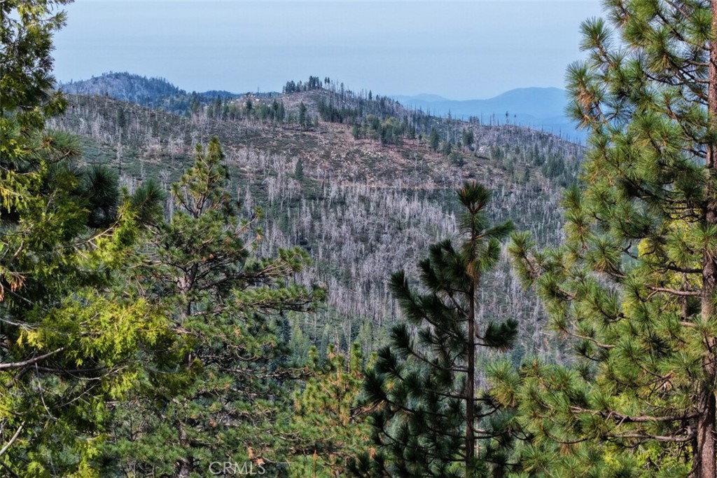7486 Henness Ridge, Yosemite, CA 95389