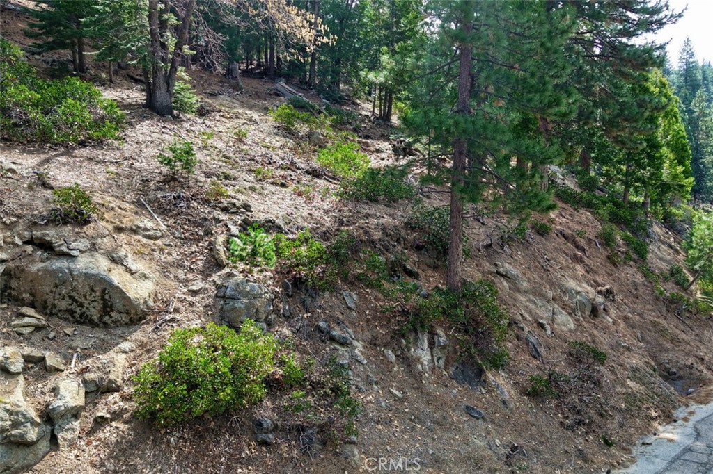 7486 Henness Ridge, Yosemite, CA 95389